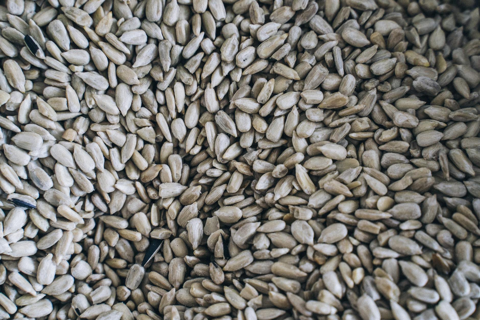 Tại sao hướng dương Trường Hợi là lựa chọn hàng đầu cho người tiêu dùng?